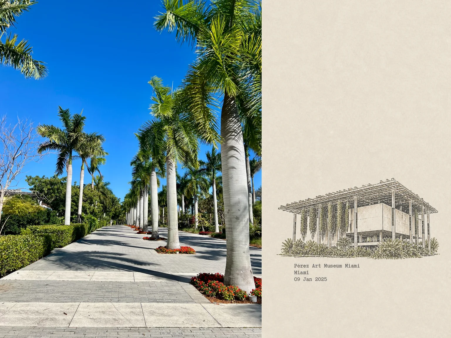 Pérez Art Museum Miami, Miami, 09 Jan 2025